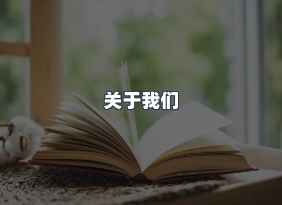 关于我们